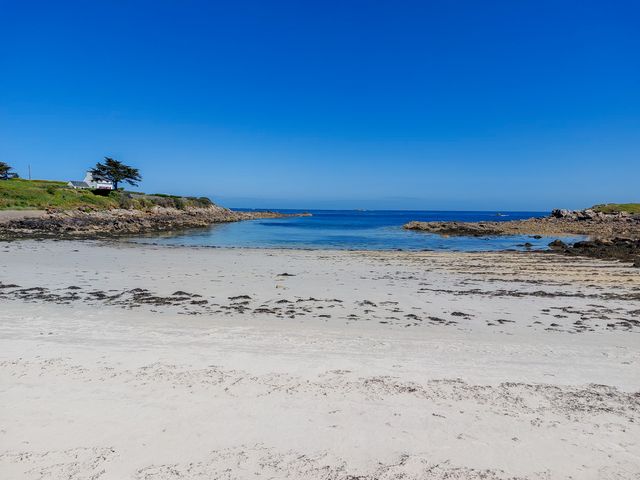 L' OYAT - Brasserie de Plage 