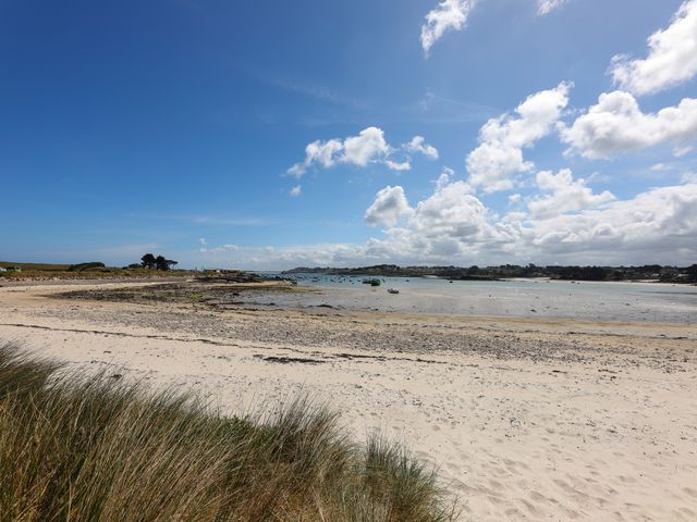 L' OYAT - Brasserie de Plage 