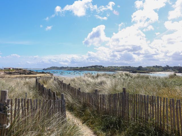 L' OYAT - Brasserie de Plage 